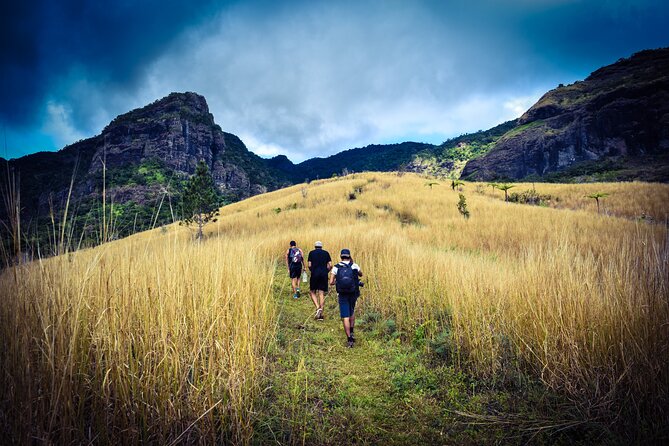 Koroyanitu National Heritage Park Fiji - Hike - Waterfall - Starting at 8:00 a.m. with pickup included