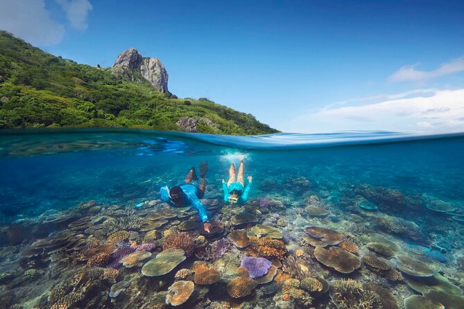 Kuata Island Marine Conservation Experience with Lunch - Snorkeling with a Marine Biologist