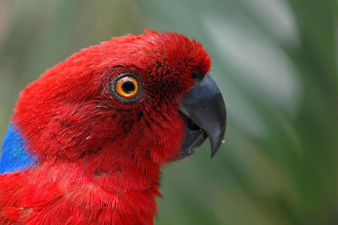 Kula Eco Park Admission - Key points before you go