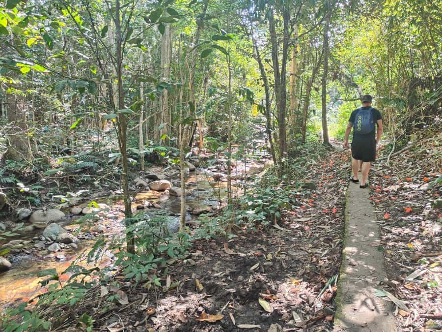 Largest zipline/Cave & Biausevu waterfall Discovery tour - Key points to know before booking