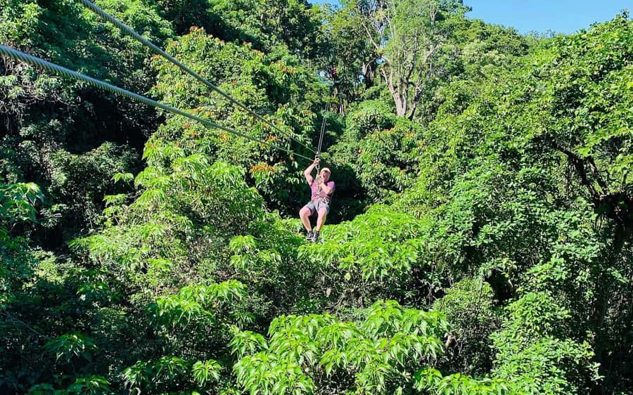 Largest Zipline & Cave Exploration from sigatoka coral coast - Should you book the Sigatoka zipline and cave tour?