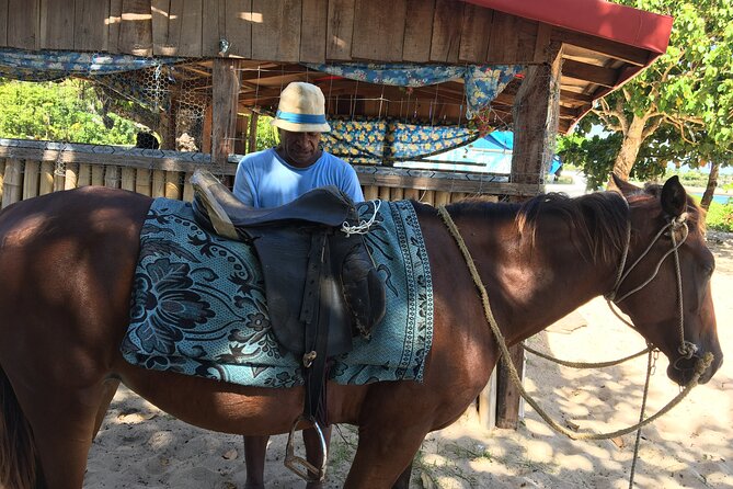 Lautoka Shore Excursions to Natadola Beach Round Trip - Swimming, sunbathing, horse riding, and massage