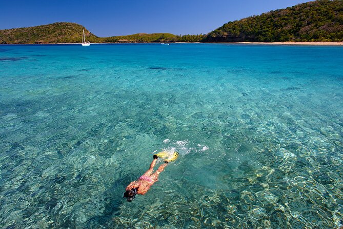 Mantaray Island Day Trip with Lunch - Key points before you book