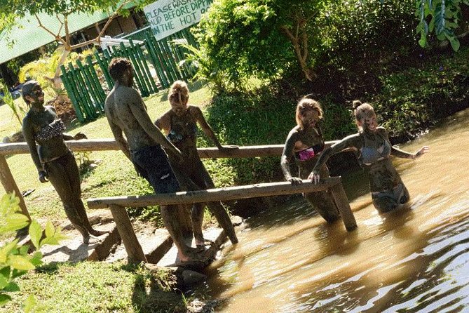 Mud Pools-Nadi Private Therapeutic Pools, Gardens, Temple, Market &Shopping Tour - Why this private tour works well from Denarau