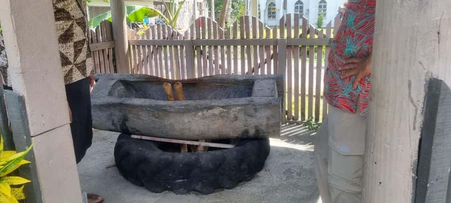 Nadi: Garden Village Hot Spring & Temple Highlights Tour - Garden of the Sleeping Giant: orchids and an uphill walk