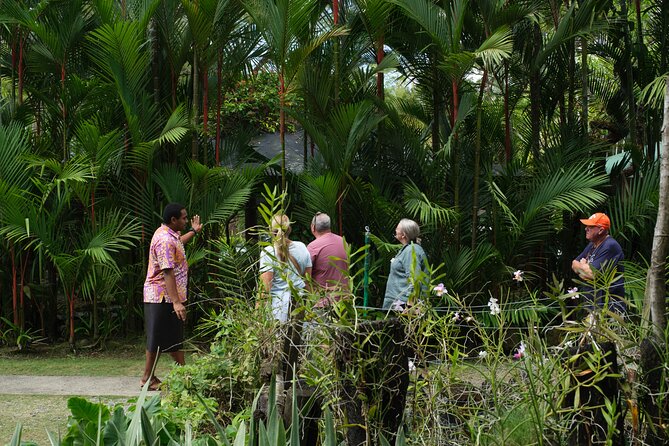 Nadi Heritage Tour - Reaching Viseisei village