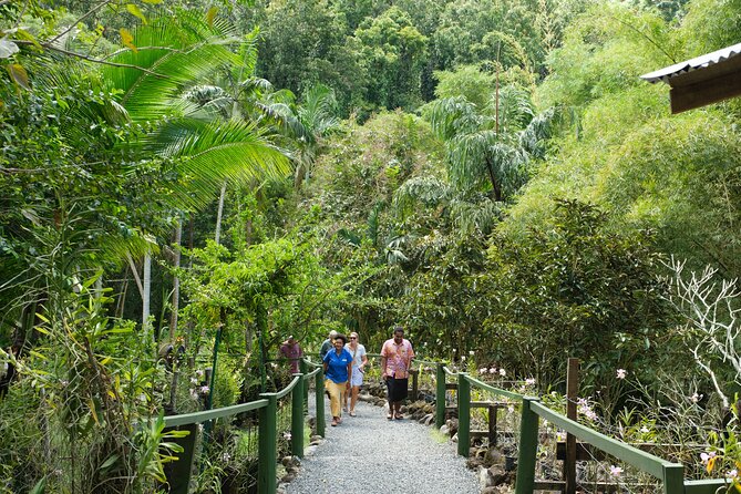 Nadi Heritage Tour - The possible TifaJek Mud Pools stop