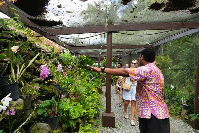 Nadi Heritage Tour - The driver can shape the entire day