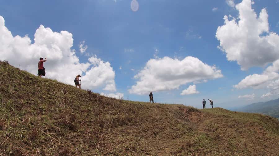 Nadi: Hidden Peaks Small Group Hiking Adventure - Forest walking with useful warnings