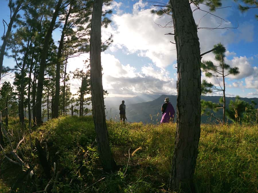 Nadi: Hidden Peaks Small Group Hiking Adventure - The waterfall stop and a chance to swim