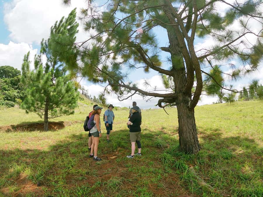 Nadi: Hidden Peaks Small Group Hiking Adventure - Views above Nadi Bay