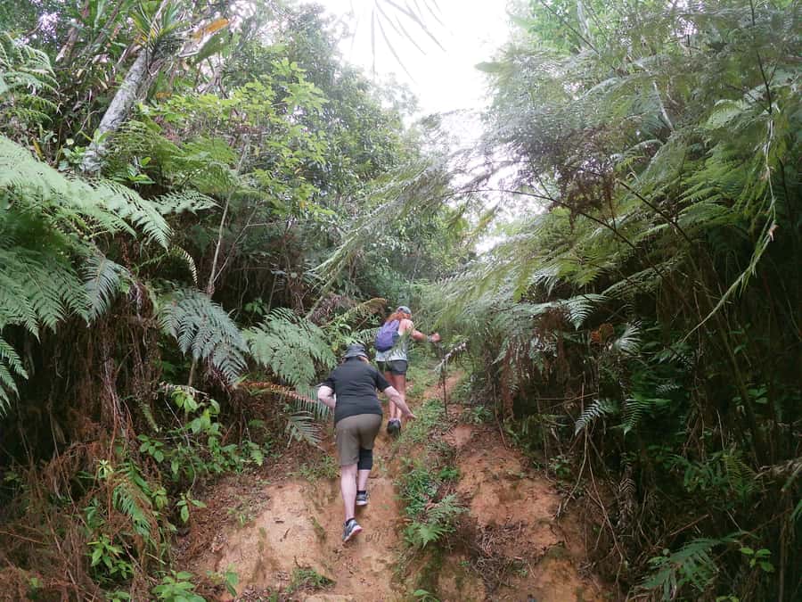 Nadi: Hidden Peaks Small Group Hiking Adventure - Who should book this outing
