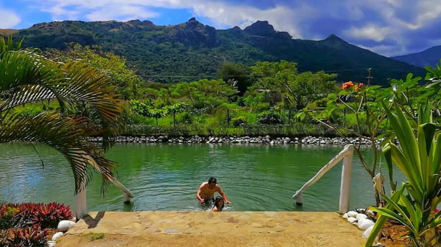 Nadi: Mud Pool and Hot Spring Private Tour - Key points at a glance