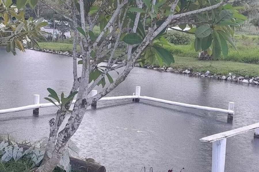 Nadi: Mud Pool and Hot Spring Private Tour - Practical tips for a smoother visit
