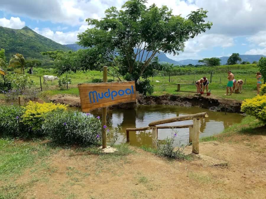 Nadi: Mud Pool and Hot Spring Private Tour - What the mud pool feels like