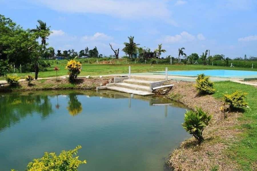 Nadi: Mud Pool and Hot Spring Private Tour - Adding the massage