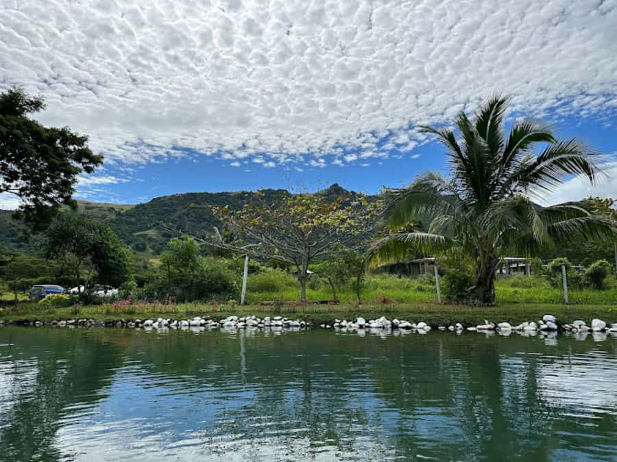 Nadi: Mud Pool and Hot Spring Private Tour - Who should book this experience?