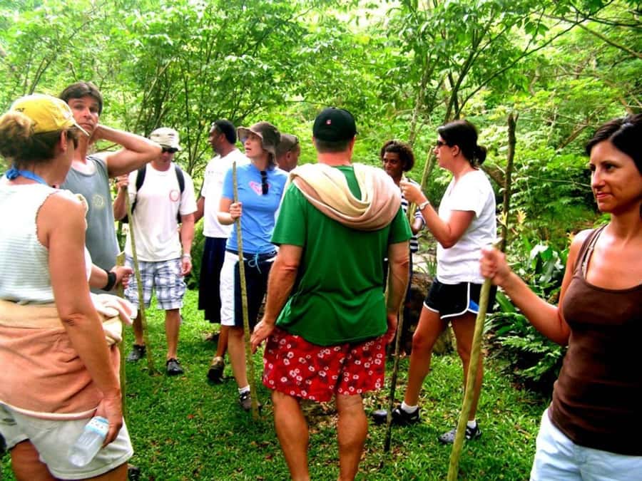 NADI: Nalesutale Village Half Day Tour - Learning Traditional Herbal Medicine in the Forest