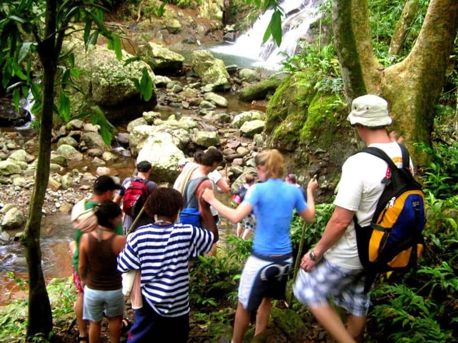 NADI: Nalesutale Village Half Day Tour - Meeting the Village and Taking Part in Kava