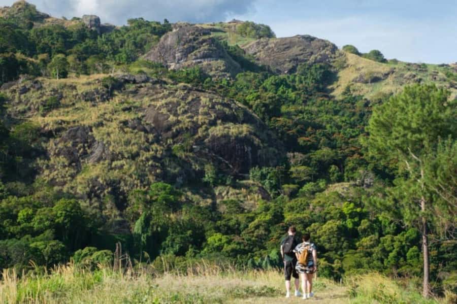 NADI-SABETO: Exquisite Orchid Garden with Hotspring Mudpool - Key points to know before you go