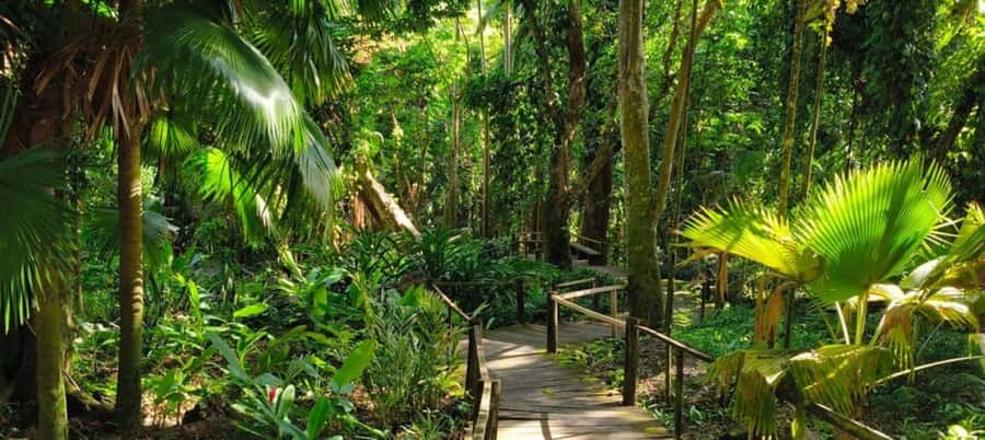 NADI-SABETO: Exquisite Orchid Garden with Hotspring Mudpool - Entering Raymond Burr’s Garden of the Sleeping Giant