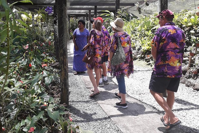 Nadi Sightseeing Including Viseisei Lookout, Village Tour, Garden & Temple Tour - Key points to know before you book