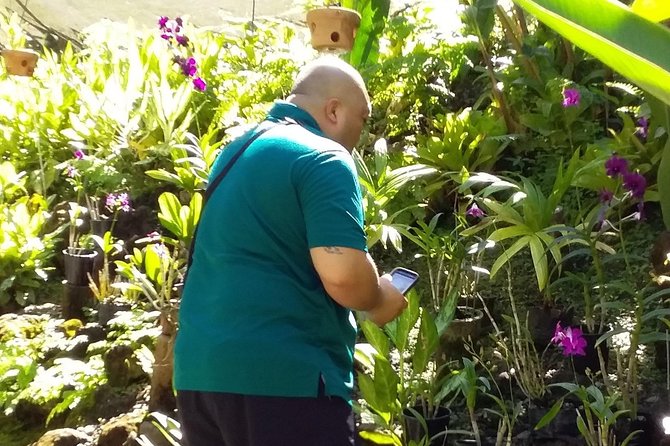 Nadi Sightseeing Including Viseisei Lookout, Village Tour, Garden & Temple Tour - Is $79.98 good value?