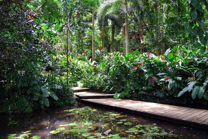 Nadi Sightseeing Including Viseisei Lookout, Village Tour, Garden & Temple Tour - Starting with local food at Namaka Market