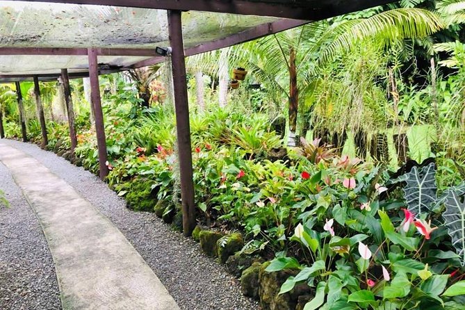 Nadi Sightseeing & Mud Pool Tour - Ex Fiji Marriott, Momi Bay - Seeing local food at Namaka fruit market