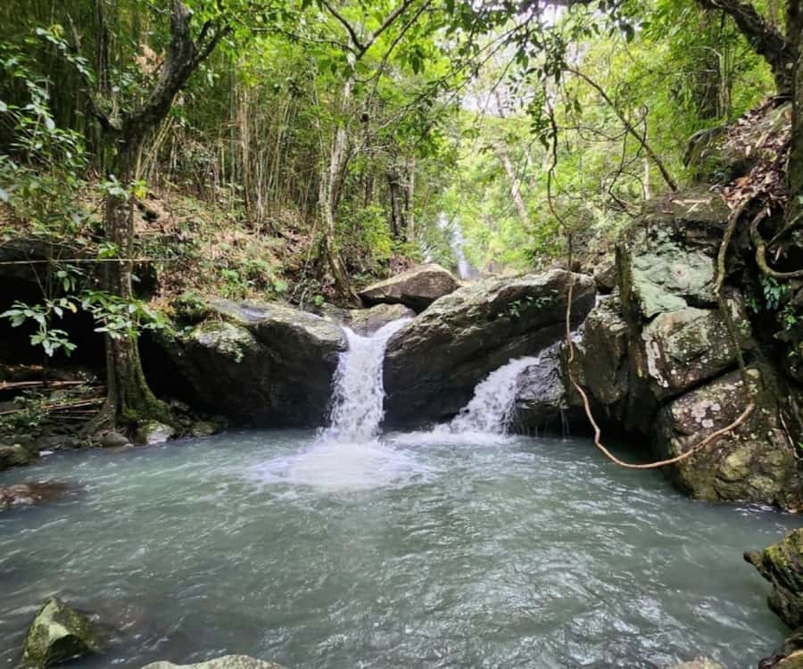 Nadi: Waterfall Tour Adventure with Refreshments and Lunch - Five things to know before you go