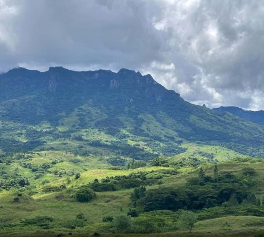 Nadi: Waterfall Tour Adventure with Refreshments and Lunch - Coconut water and a welcome break