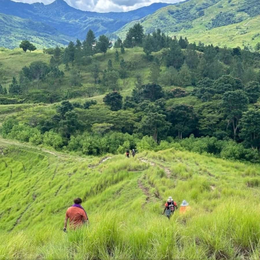 Nadi: Waterfall Tour Adventure with Refreshments and Lunch - Walking or horseback riding back