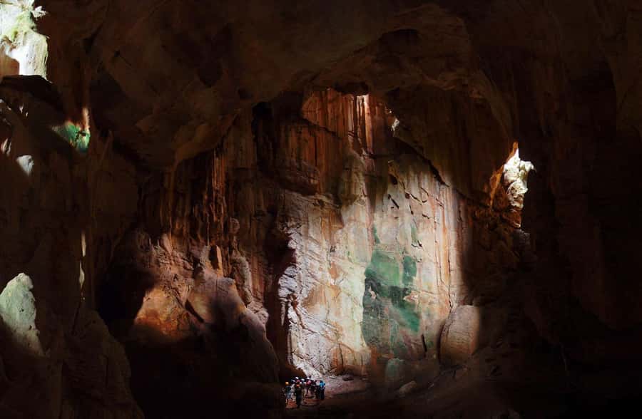 Nadi: Zipline Adventure with Cave Exploration - Old-growth vesi trees and the upper mountain forest