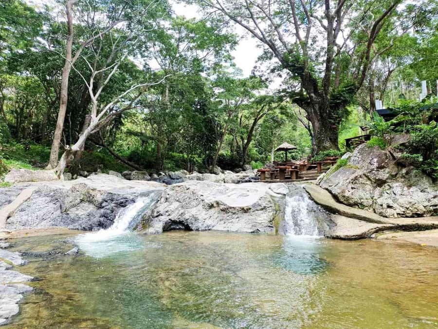 Nadi: Zipline, Waterfalls, and Jungle Safari Tour with Lunch - Key points to know before booking