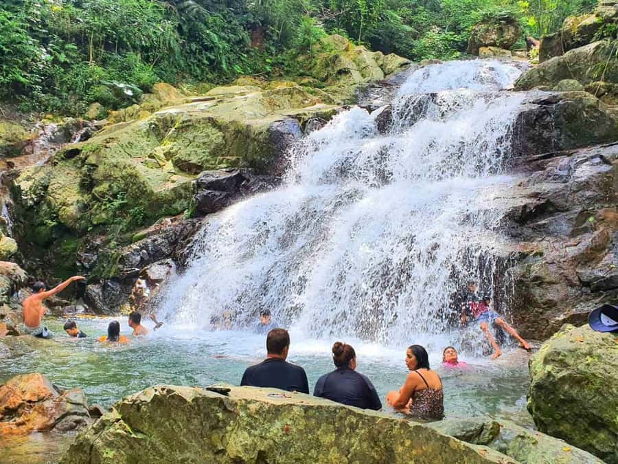 Nadi: Zipline, Waterfalls, and Jungle Safari Tour with Lunch - A half-day plan with real variety