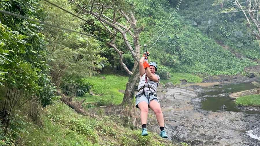 Nadi: Zipline, Waterfalls, and Jungle Safari Tour with Lunch - Walking beneath Fiji’s rain trees