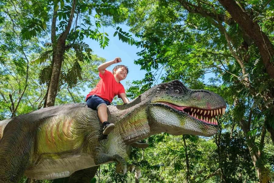 Nadi: Zipline, Waterfalls, and Jungle Safari Tour with Lunch - Two waterfalls and a chance to cool off