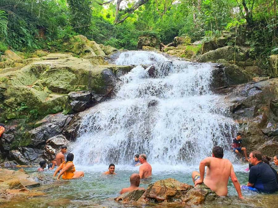Nadi: Zipline, Waterfalls, and Jungle Safari Tour with Lunch - Who will enjoy this Fiji adventure?
