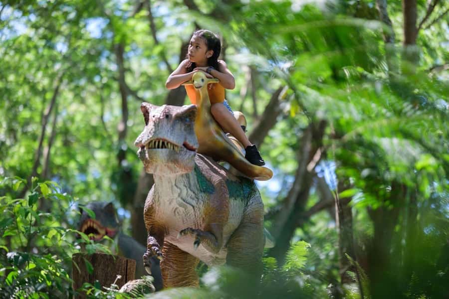 Nadi: Zipline, Waterfalls, and Jungle Safari Tour with Lunch - What to pack for the five-and-a-half-hour outing