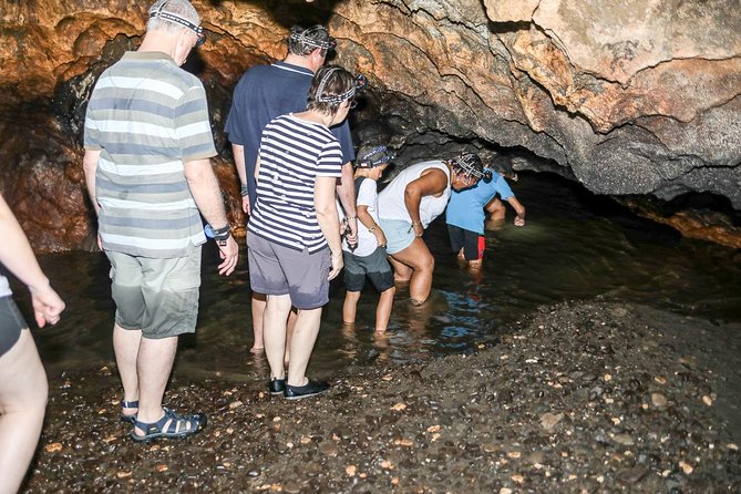 Naihehe Cave Safari in Sigatoka with BBQ Lunch - The BBQ lunch after the cave