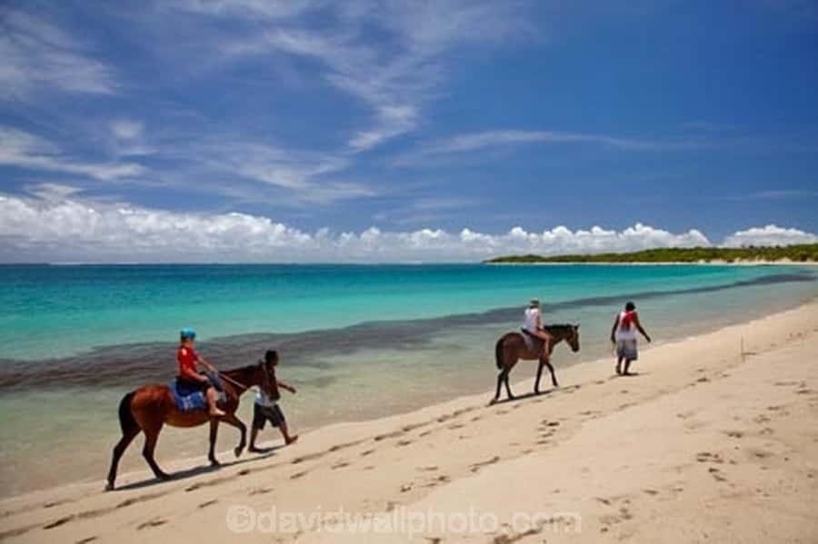 Natadola Beach Tour With Tifajek Mud Pool & Hotspring - The mud wrap is the tour’s most unusual activity