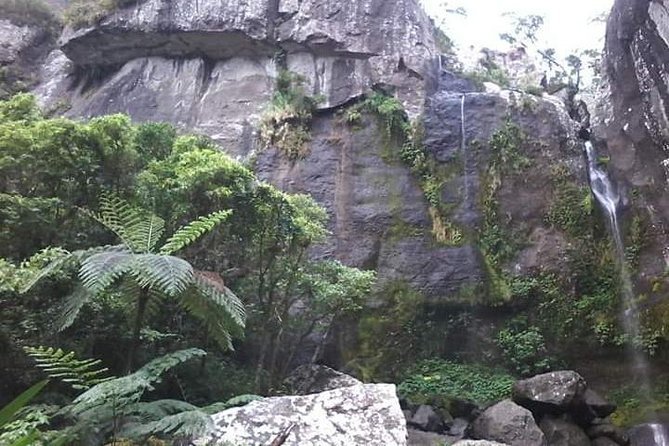 Private Breathtaking Koroyanitu Half Day Waterfall Hike - Why this hike shows you another Fiji