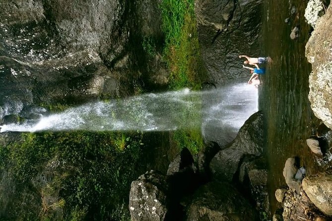 Private Breathtaking Koroyanitu Half Day Waterfall Hike - Price and what you receive for $216.37