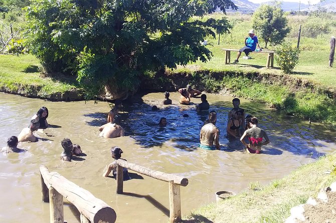 Private Denarau Shore Excursion - Temple, Shopping, Market, Garden & Mud Pool - Key things to know before you go