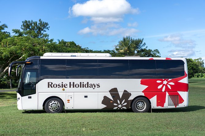 Private Premium Departure Transfer : Hotel to Nadi Airport - Price and value for groups of up to four