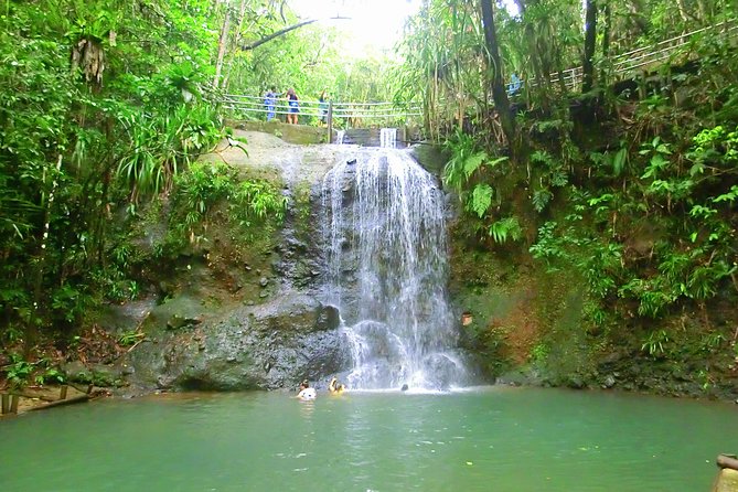 Private Suva Nature and Waterfall Tour - Flora, birds, and the quiet side of Fiji
