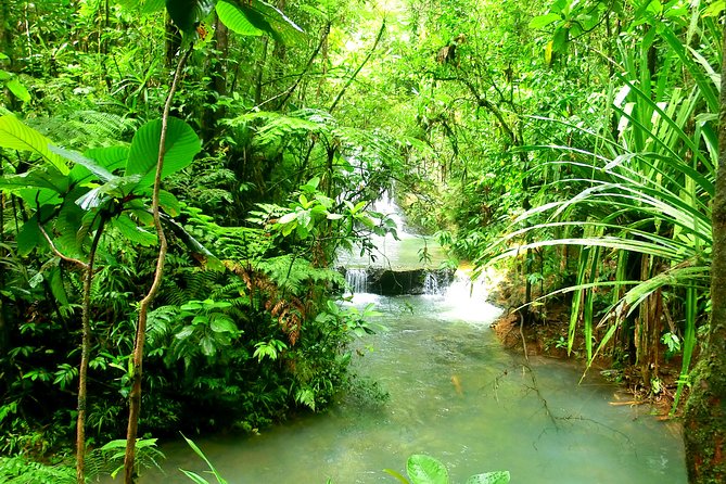 Private Suva Nature and Waterfall Tour - What to pack for the forest