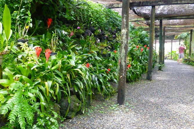 Private Tour: Best of Nadi Highlights - Viseisei Village and the story of Fiji’s beginnings