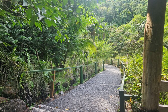 Private Tour: Hot spings & Sleeping Giant Garden hiking Adventure - Who Will Like This Experience Most?