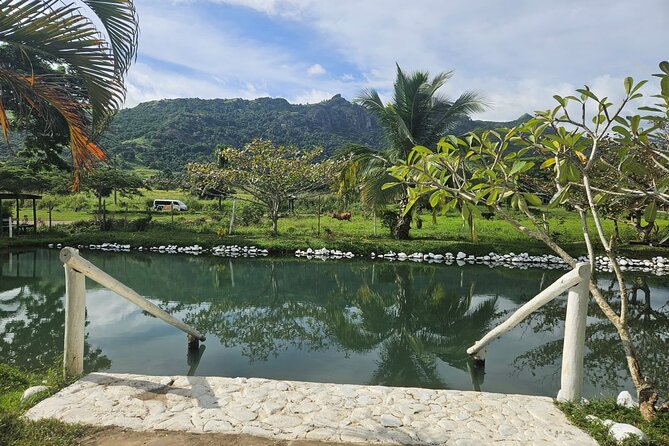 Private Tour: Hot spings & Sleeping Giant Garden hiking Adventure - Final Booking Advice for the Mud Pool and Orchid Garden